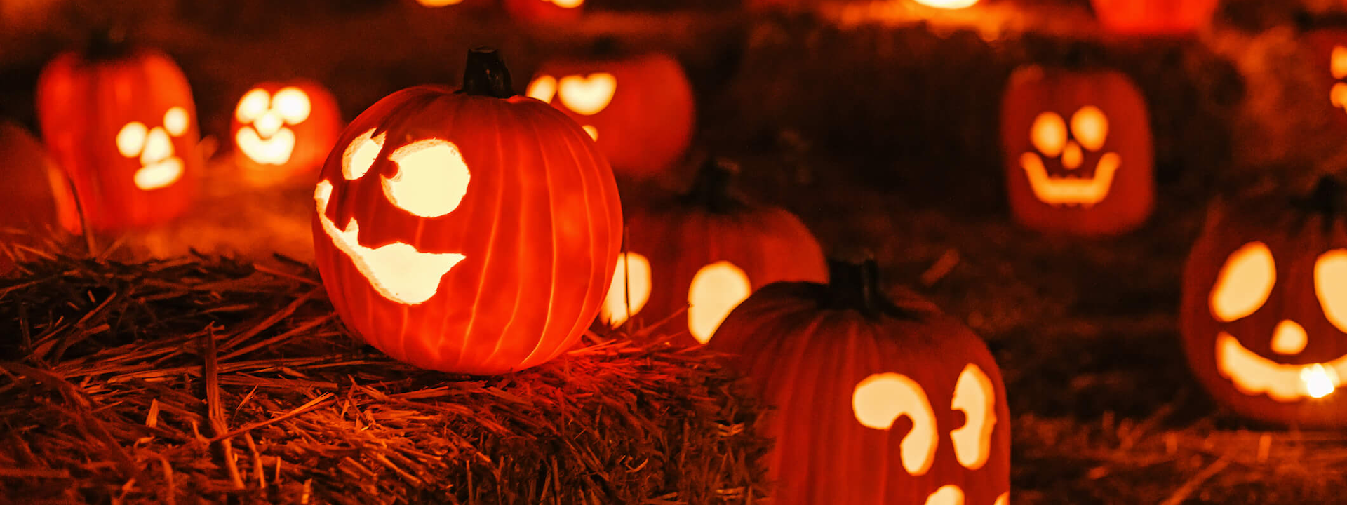 A group of jack-o-lanterns.